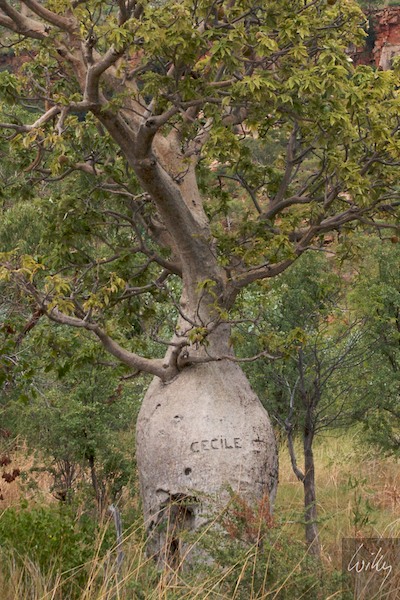 AustraliaAdelaide 10  005